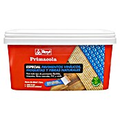 Adhesivo para moqueta y PVC (5 kg)