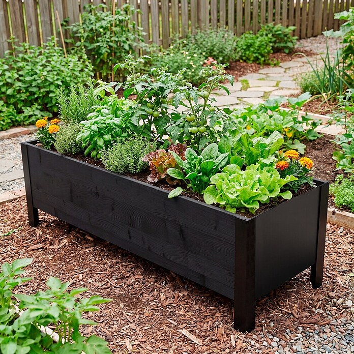 Upyard Macetero para plantas Modernbox Niedrig (118 x 36 x 32 cm, Madera, Negro) | BAUHAUS