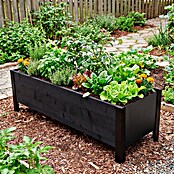 Upyard Macetero para plantas Modernbox Niedrig (118 x 36 x 32 cm, Madera, Negro) | BAUHAUS