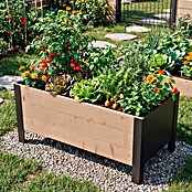 Upyard Pflanzkasten Modernbox niedrig (78 x 36 x 32 cm, Holz, Braun/Schwarz) | BAUHAUS