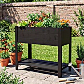 Upyard Huerto Modernbox alto (78 x 36 x 72 cm, Madera, Negro) | BAUHAUS