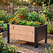 Upyard Pflanzkasten Modernbox niedrig (58 x 36 x 32 cm, Holz, Braun/Schwarz) | BAUHAUS