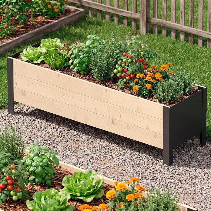 Upyard Pflanzkasten Modernbox niedrig (118 x 36 x 32 cm, Holz, Natur/Schwarz) | BAUHAUS