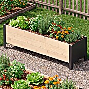 Upyard Pflanzkasten Modernbox niedrig (118 x 36 x 32 cm, Holz, Natur/Schwarz) | BAUHAUS