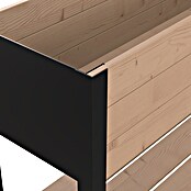 Upyard Huerto Modernbox alto (118 x 36 x 72 cm, Madera, Marrón/Negro) | BAUHAUS