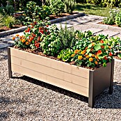 Upyard Pflanzkasten Modernbox niedrig (118 x 36 x 32 cm, Holz, Braun/Schwarz) | BAUHAUS