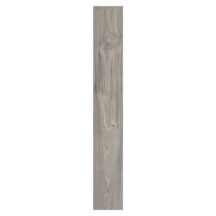 LOGOCLIC Ambienta Vzorec laminata Ambienta hrast Alba  (296 x 195 x 1 mm, Rustikalen videz) | 5163 - Zubehör | GCDO - Park+Laminat Zubeh  Pflegem | GCD - Wand Boden Decke Leisten | GC - Wand Boden Decke Leisten | G - Holz/Bauelem | BAUHAUS