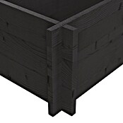 Upyard Hochbeet Multibox (L x B x H: 79 x 39,5 x 29,5 cm, Holz, Schwarz) | BAUHAUS