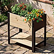 Upyard Huerto Modernbox alto (58 x 36 x 72 cm, Madera, Natural) | BAUHAUS