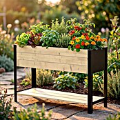Upyard Hochbeet Modernbox hoch (118 x 36 x 72 cm, Holz, Natur/Schwarz) | BAUHAUS