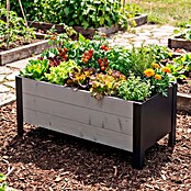 Upyard Macetero para plantas Modernbox Niedrig (78 x 36 x 32 cm, Madera, Gris) | BAUHAUS