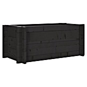 Upyard Hochbeet Multibox (L x B x H: 59 x 29,5 x 29,5 cm, Holz, Schwarz) | BAUHAUS