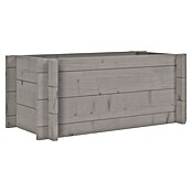 Upyard Hochbeet Multibox (L x B x H: 59 x 29,5 x 29,5 cm, Holz, Grau) | BAUHAUS