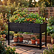 Upyard Huerto Modernbox alto (118 x 36 x 72 cm, Madera, Negro) | BAUHAUS