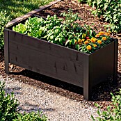 Upyard Pflanzkasten Modernbox niedrig (78 x 36 x 32 cm, Holz, Schwarz) | BAUHAUS