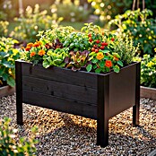 Upyard Pflanzkasten Modernbox niedrig (58 x 36 x 32 cm, Holz, Schwarz) | BAUHAUS
