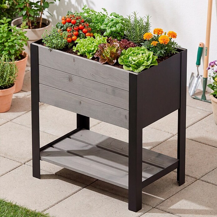 Upyard Hochbeet Modernbox hoch (58 x 36 x 72 cm, Holz, Grau) | BAUHAUS