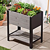 Upyard Hochbeet Modernbox hoch (58 x 36 x 72 cm, Holz, Grau) | BAUHAUS