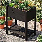 Upyard Huerto Modernbox alto (58 x 36 x 72 cm, Madera, Negro) | BAUHAUS