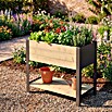 Upyard Hochbeet Modernbox hoch (78 x 36 x 72 cm, Holz, Natur/Schwarz) | BAUHAUS