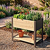 Upyard Hochbeet Modernbox hoch (78 x 36 x 72 cm, Holz, Natur/Schwarz) | BAUHAUS