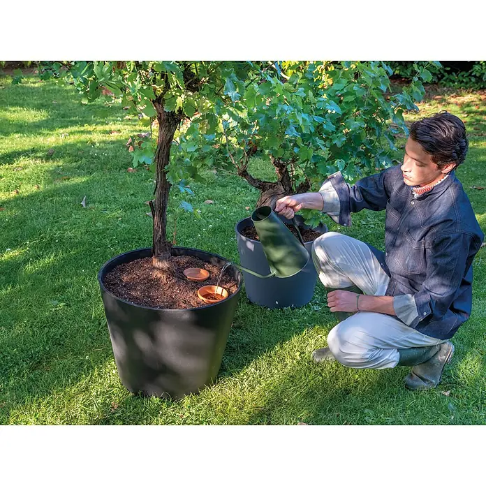 Deroma Topf Bewässerungskegel Aquado - Braun, 35 cm, Terracotta - Großer, dunkler Pflanzkübel mit Weinrebe, bewässert.
