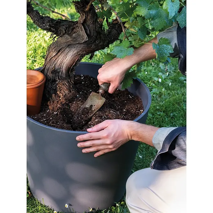 Deroma Topf Bewässerungskegel Aquado - Braun, 35 cm, Terracotta - Ein großer, dunkelgrauer Pflanzkübel enthält eine Pflanze, die umgetopft wird; Hände fügen Erde mit einer Kelle hinzu.