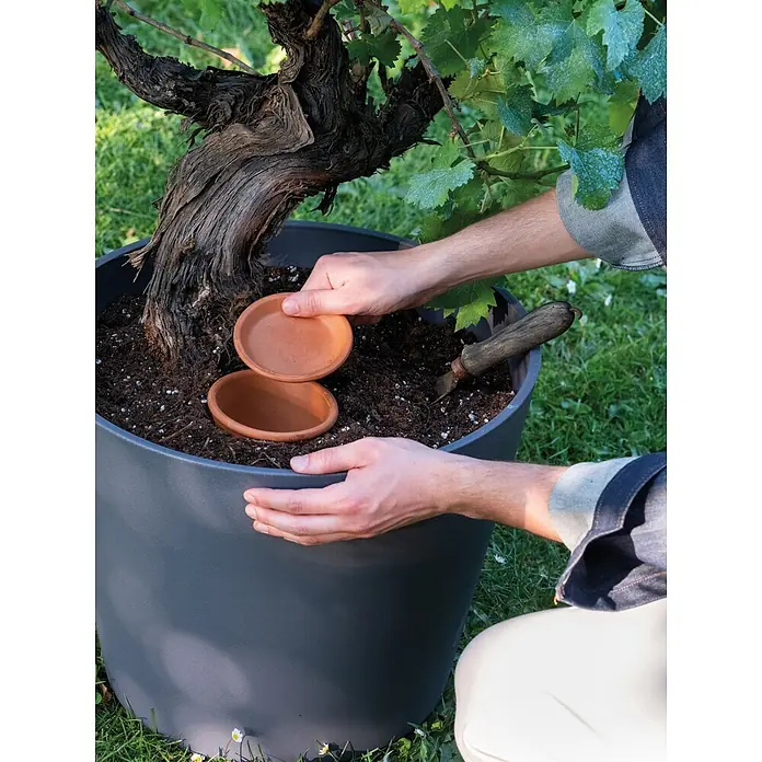 Deroma Topf Bewässerungskegel Aquado - Braun, 35 cm, Terracotta - Großer grauer Pflanzkübel mit Weinrebe, Hände platzieren kleine Terrakotta-Untersetzer in der Erde.