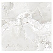 Feinsteinzeugfliese Onyx Freedom (60 x 60 cm, White, Glänzend) | BAUHAUS