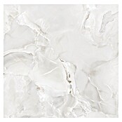 Feinsteinzeugfliese Onyx Freedom (60 x 60 cm, White, Glänzend) | BAUHAUS