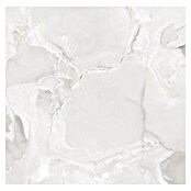 Feinsteinzeugfliese Onyx Freedom (60 x 60 cm, White, Glänzend) | BAUHAUS