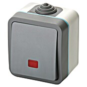 Voltomat Blueline Feuchtraum-Kontrollschalter (Grau, Aufputz, IP54)