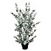 Mica Decorations Umetna rastlina Evkaliptus 