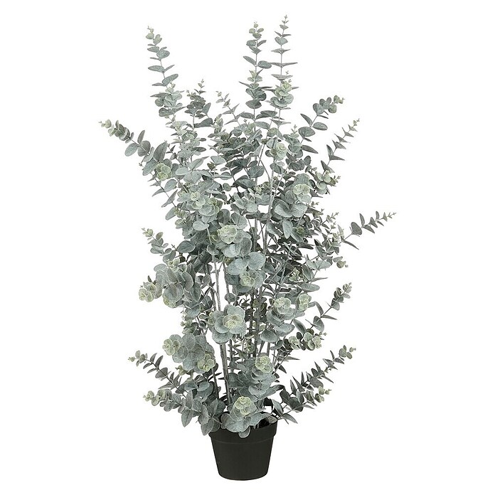 Mica Decorations Umetna rastlina Evkaliptus  (Višina: 113 cm, Zelena) | 8471 - Seidenblumen/Kunstpflanzen | IDDQ - Seidenblumen/Kunstpflanzen | IDD - Trendy | ID - Trendy | I - Stadtgarten | BAUHAUS