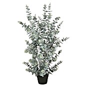 Mica Decorations Umetna rastlina Evkaliptus  (Višina: 113 cm, Zelena) | 8471 - Seidenblumen/Kunstpflanzen | IDDQ - Seidenblumen/Kunstpflanzen | IDD - Trendy | ID - Trendy | I - Stadtgarten | BAUHAUS