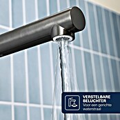 Grohe Essence Keukenkraan (Hard grafiet, Geborsteld, Hoge uitloop)