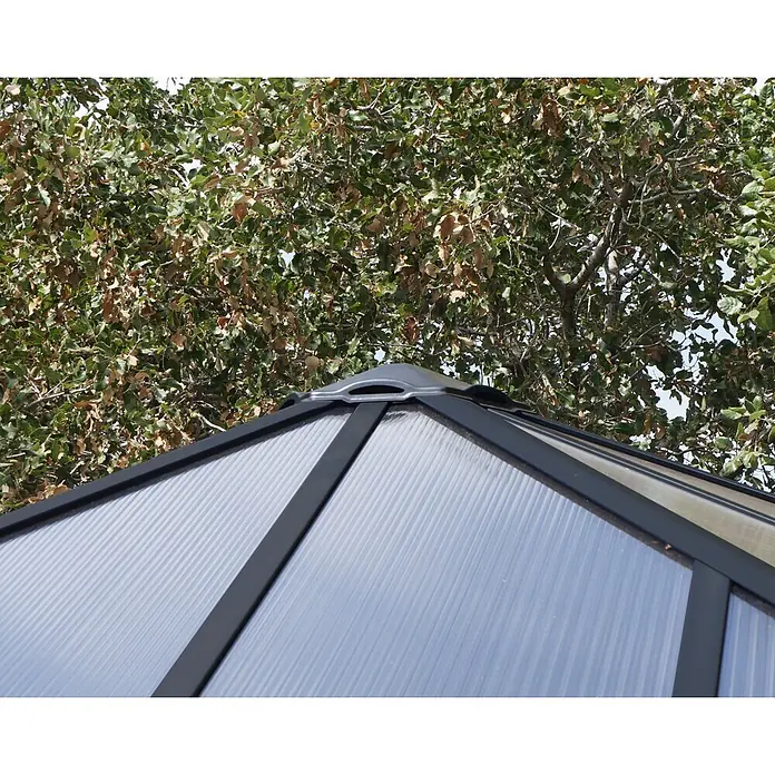 Palram – Canopia Pérgola de jardín cerrado Ledro - An x Pr: 295 x 295 cm, Color del armazón: Antracita, Aluminio - Primer plano de un panel de techo corrugado transparente con marco negro, parte de una estructura exterior, con follaje de árbol.