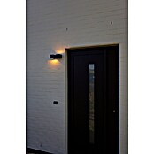 Lutec Aplique para exterior LED Fari (10 W, L x An x Al: 92 x 65 x 193 mm, Gris oscuro, Aluminio, IP54) | BAUHAUS