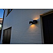 Lutec Aplique para exterior LED Fari (10 W, L x An x Al: 92 x 65 x 193 mm, Gris oscuro, Aluminio, IP54) | BAUHAUS