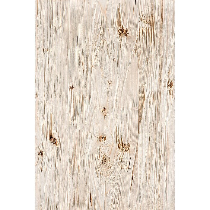Wandverkleidung Blockwand Fichte (L x B: 249 x 19,6 cm, Hellbraun) | BAUHAUS