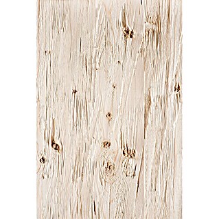 Wandverkleidung Blockwand Fichte (L x B: 249 x 19,6 cm, Hellbraun)