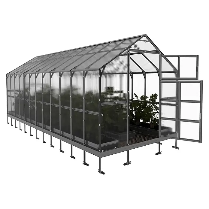 Klasika Greenhouses Gewächshaus Bernard Klasika - Außenmaß inkl. Dachüberstand (B x T): 235 x 600 cm, Material Seitenwand: Kunststoff, 6 mm, Silbergrau - Erhöhtes graues Gewächshaus mit Metallrahmen und transparenten Paneelen, Pflanzen und geöffneter Tür.