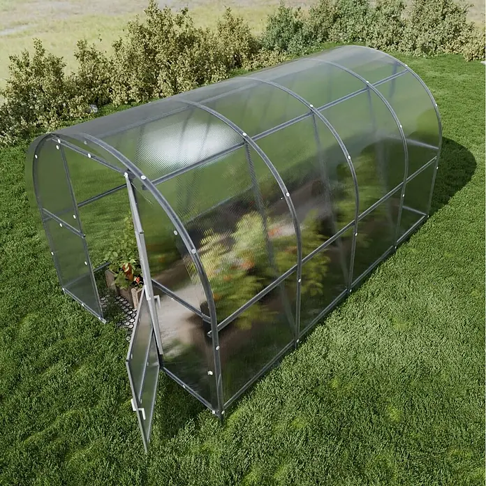 Klasika Greenhouses Gewächshaus Baltic Lt Klasika - Außenmaß inkl. Dachüberstand (B x T): 300 x 400 cm, Material Seitenwand: Kunststoff, 4 mm, Silbergrau - Gewölbtes Polycarbonat-Gewächshaus mit dunklem Rahmen, Tür leicht geöffnet, Pflanzen sichtbar.