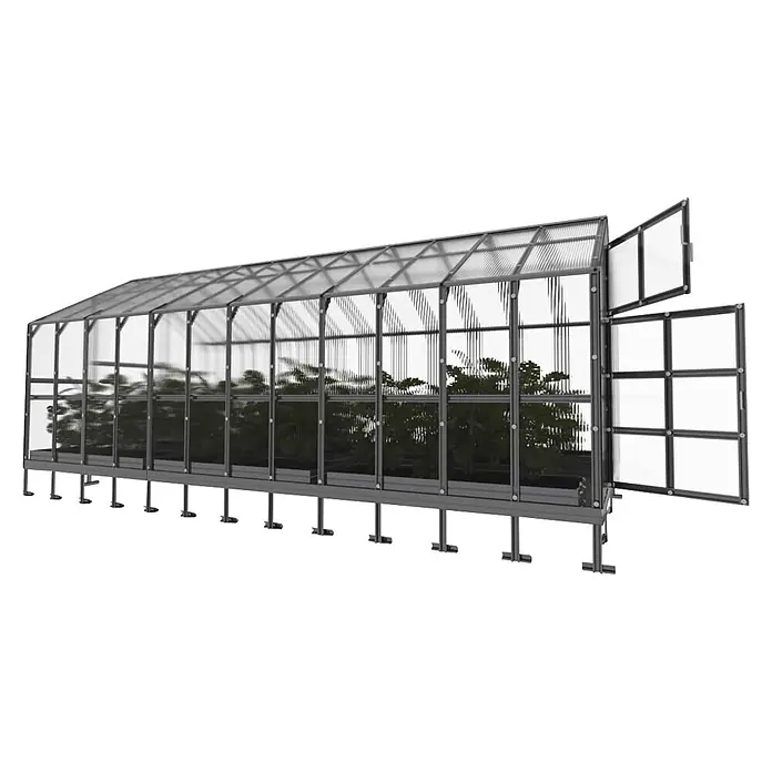 Klasika Greenhouses Gewächshaus Bernard Klasika - Außenmaß inkl. Dachüberstand (B x T): 235 x 600 cm, Material Seitenwand: Kunststoff, 6 mm, Silbergrau - Erhöhtes graues Metall-Gewächshaus mit transparenten Paneelen und Pflanzen, mit offener, mehrteiliger Endtür für Belüftung und Zugang.