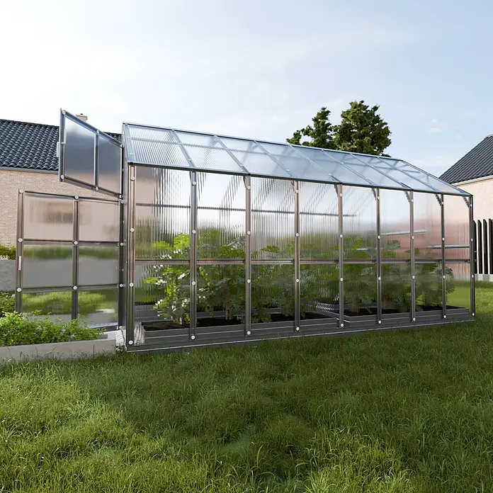 Klasika Greenhouses Gewächshaus House Klasika - Außenmaß inkl. Dachüberstand (B x T): 235 x 412 cm, Material Seitenwand: Kunststoff, 6 mm, Silbergrau - Großes Gewächshaus mit transparenten gerippten Platten und Metallrahmen, in einem Garten mit Pflanzen darin.
