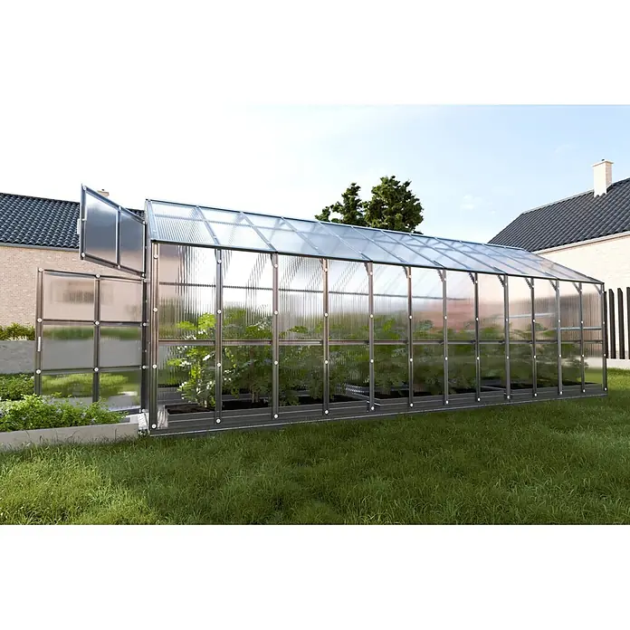Klasika Greenhouses Gewächshaus Bernard Klasika - Außenmaß inkl. Dachüberstand (B x T): 235 x 600 cm, Material Seitenwand: Kunststoff, 6 mm, Silbergrau - Großes Gewächshaus mit klaren Platten & dunklem Rahmen, voller Pflanzen, im Garten mit offener Tür.
