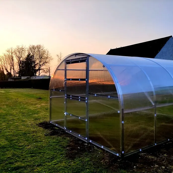 Klasika Greenhouses Gewächshaus Baltic Lt Klasika - Außenmaß inkl. Dachüberstand (B x T): 300 x 800 cm, Material Seitenwand: Kunststoff, 6 mm, Silbergrau - Ein transparentes Polycarbonat-Gewächshaus mit Bogendach, in einem Garten bei Sonnenuntergang, das warmes Licht reflektiert.