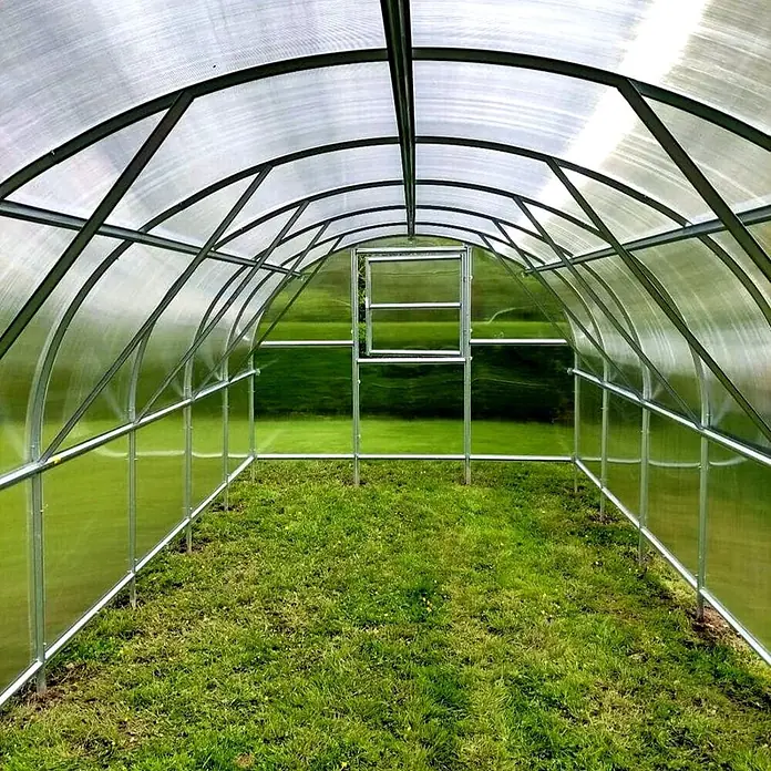 Klasika Greenhouses Gewächshaus Baltic Lt Klasika - Außenmaß inkl. Dachüberstand (B x T): 300 x 800 cm, Material Seitenwand: Kunststoff, 6 mm, Silbergrau - Gewölbter Gewächshausinnenraum mit silbernem Metallrahmen und durchsichtigen Paneelen, inklusive Lüftungsfenster am Ende.