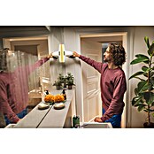 Karcher Accu ruitenreiniger WV 2 Universal Care (l x b x h: 133 x 280 x 290 mm, Inhoud reservoir: 0,12 l) | BAUHAUS