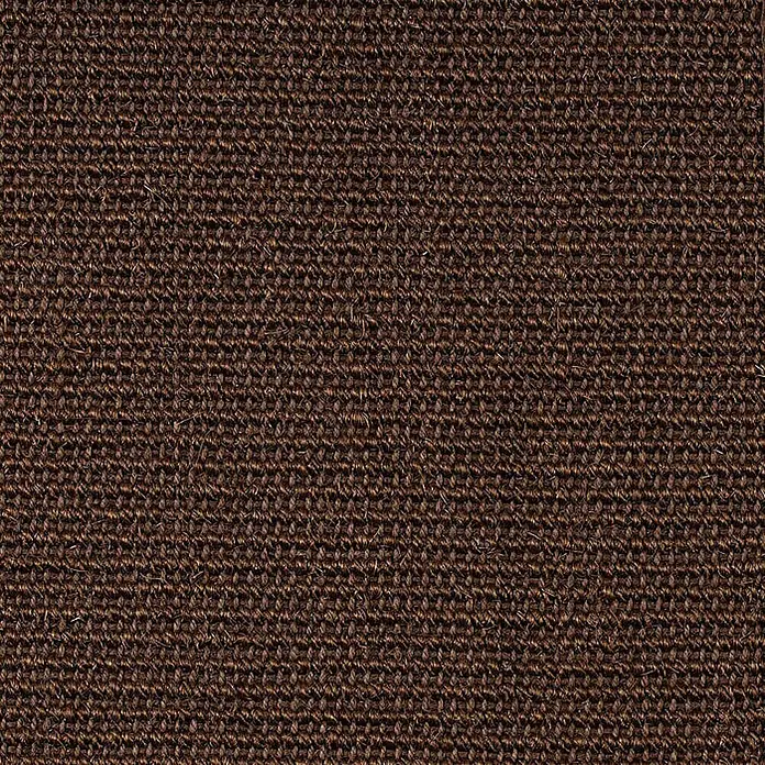 Floordirekt Kurzflorteppich aus Sisalfaser - mit Bordüre - Dunkelbraun, 290 x 200 cm, Sisal